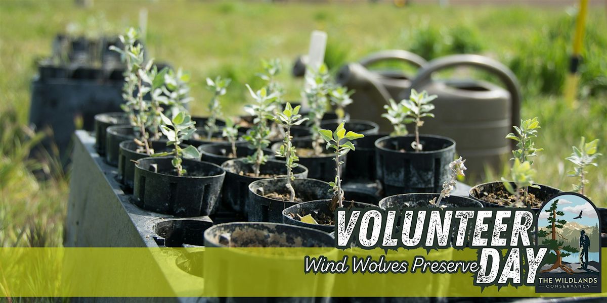 Backcountry Planting- Wind Wolves Preserve
