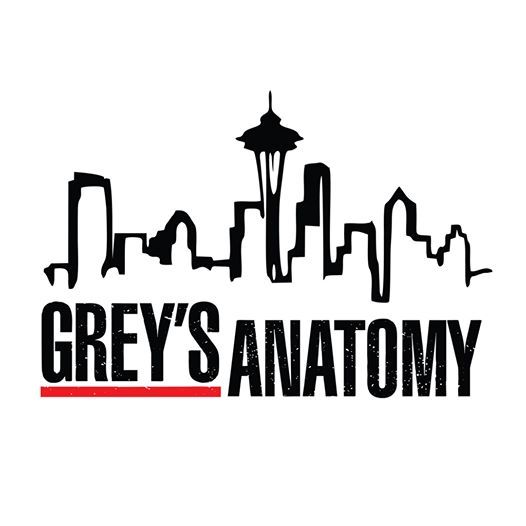 Featured image of post Grey s Anatomy Skyline Logo Has been added to your cart