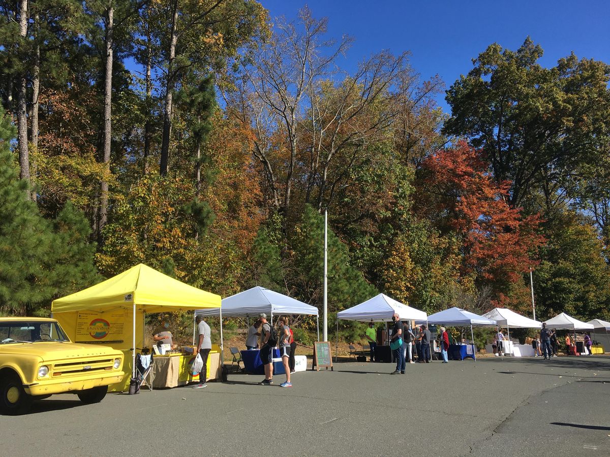 Dog Events In Holly Springs Nc Dog Training Classes Workshops In Holly Springs Nc Dog Events Raleigh Nc 2022