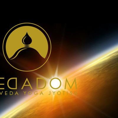 VEDADOM logo