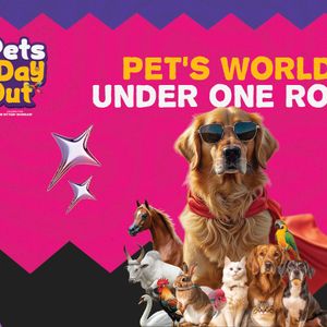 Pets Day Out