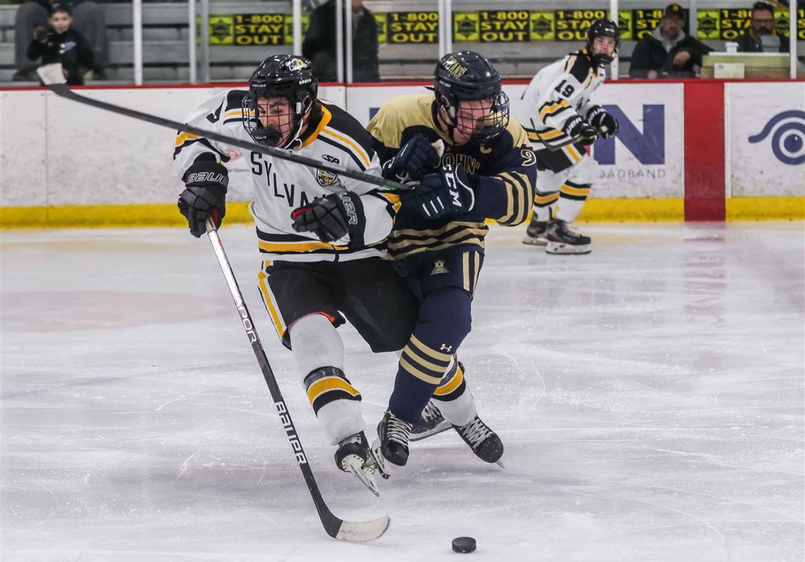 Northview at St. John's Jesuit Titans Hockey at Huntington Center, 29 January | Event in Toledo | AllEvents