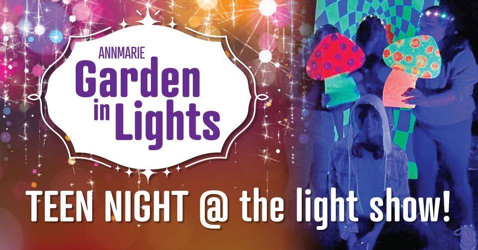 Teen Night Annmarie Garden In Lights, Annmarie Sculpture Garden