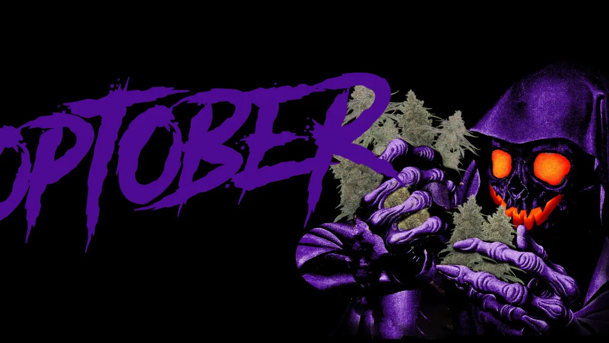 Money Man in Enschede, 20 March | Event in Enschede | AllEvents