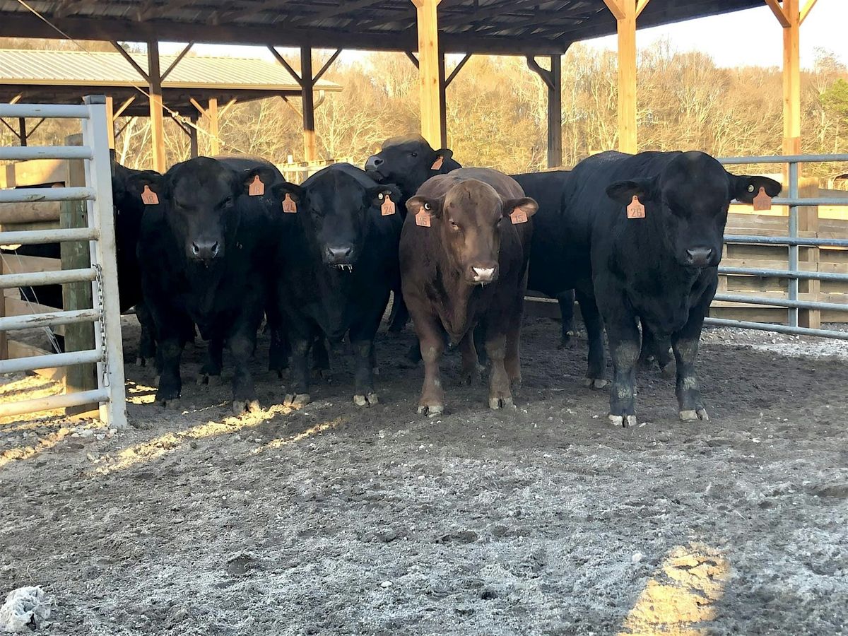 Hoof to Herd Sire, 10 December | Event in Central | AllEvents