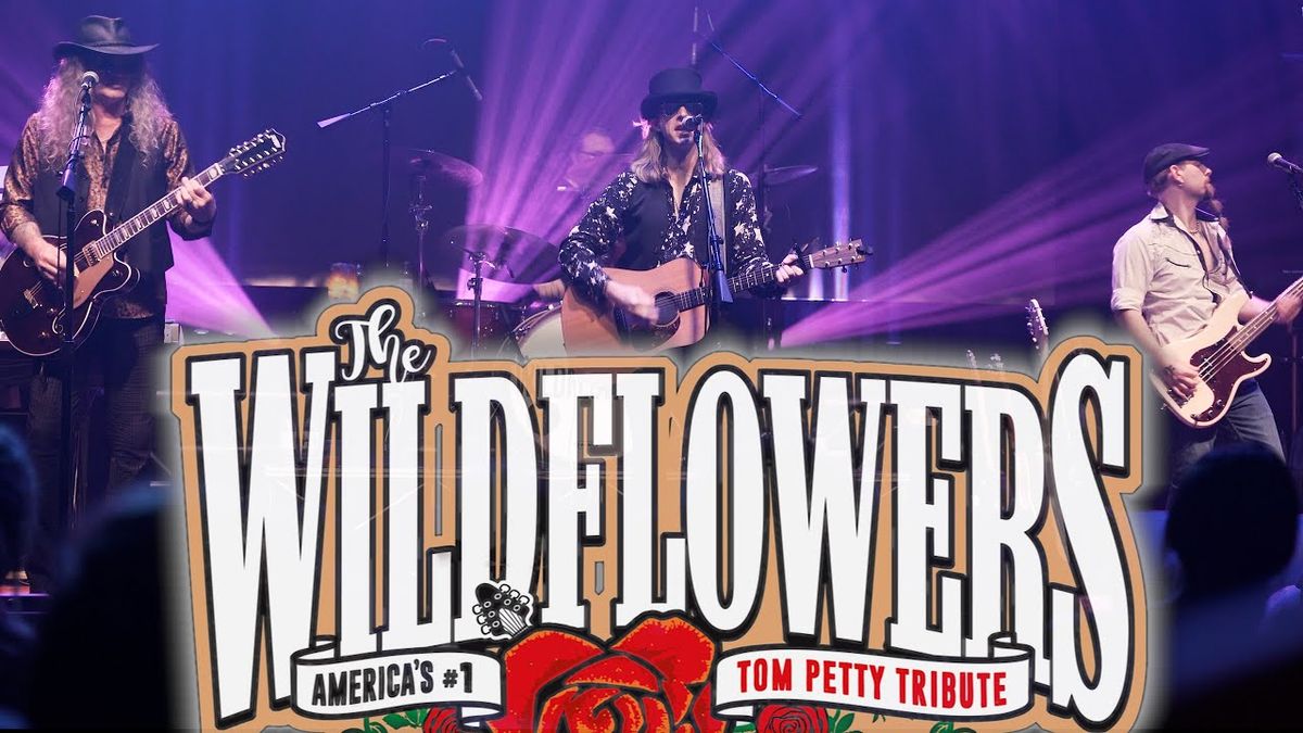 The wildflowers tom petty and the heartbreakers tribute madlife
