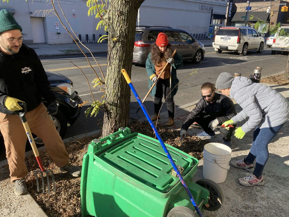Street Tree Care w/Cypress Hills Local Development Corporation, Inc., 22 April | Event in Brooklyn | AllEvents