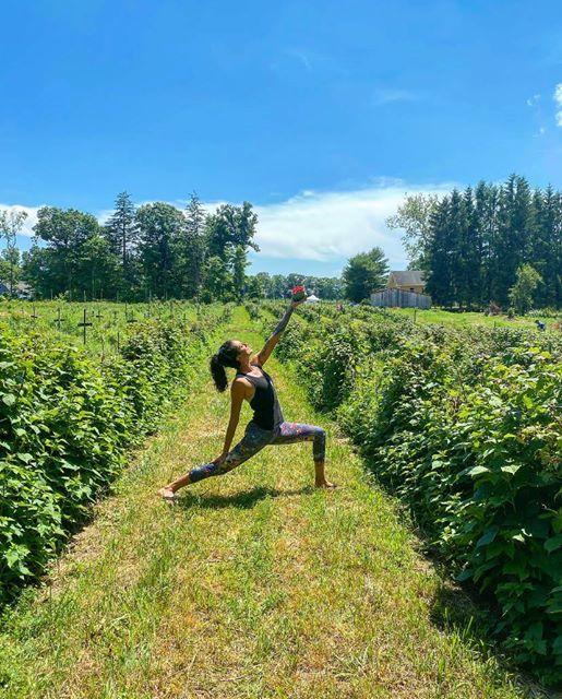 Yoga in the Orchard at Yankee Cider Barn, Yankee Hard Ciders, East Haddam, July 25 2020