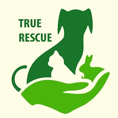 True Rescue
