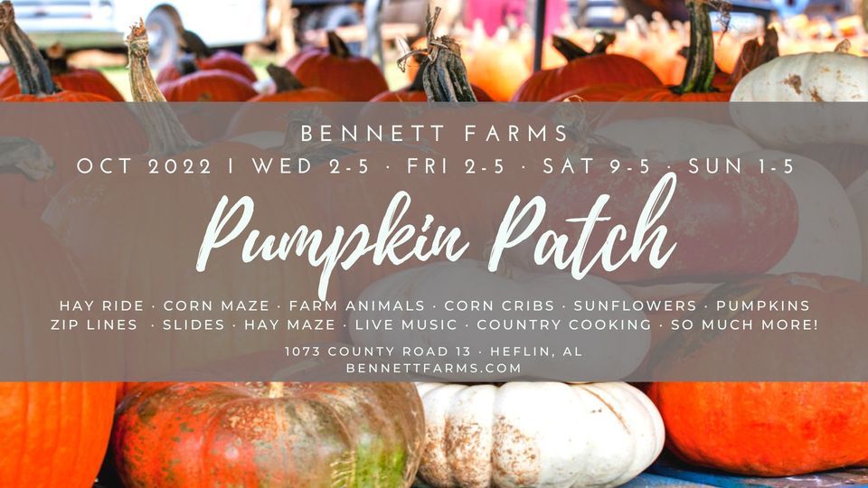 Farms Pumpkin Patch, Farms, Heflin, October 9 2022