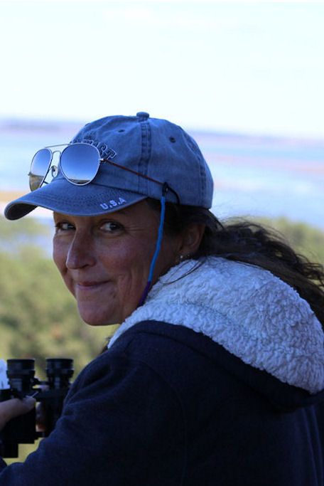 Assateague Island Events List Of All Upcoming Assateague Island Events In Chincoteague Chincoteague Events 2022