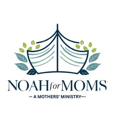 NOAH for MOMS