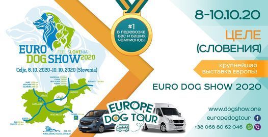 euro dog show 2020