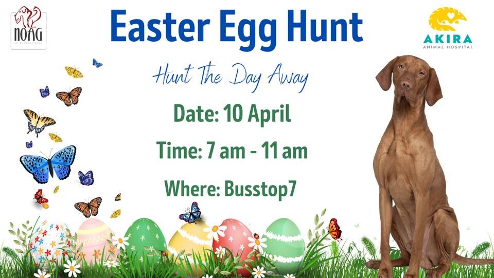 Easter Egg Hunt, Busstop7 Open air market, Pretoria, April 10 2023