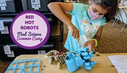 Red Hot Robots Camp Baierl Family Ymca Baierl Family Ymca Cranberry Twp July 12 To July 16 Allevents In