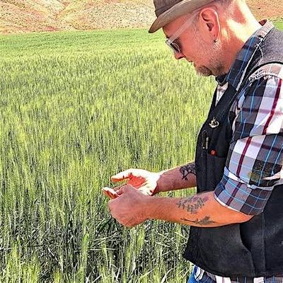 Jay Ryan, Grist Stone Mill logo