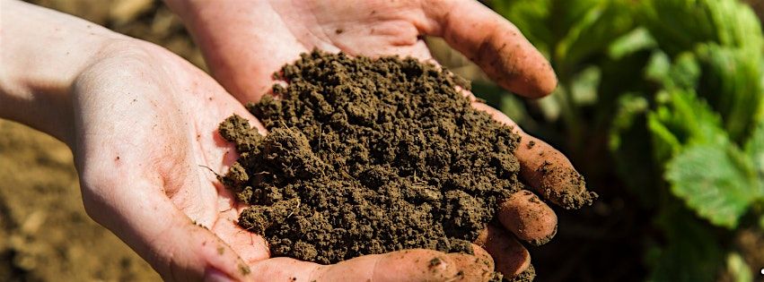 Laying the Groundwork: Introduction to Soil