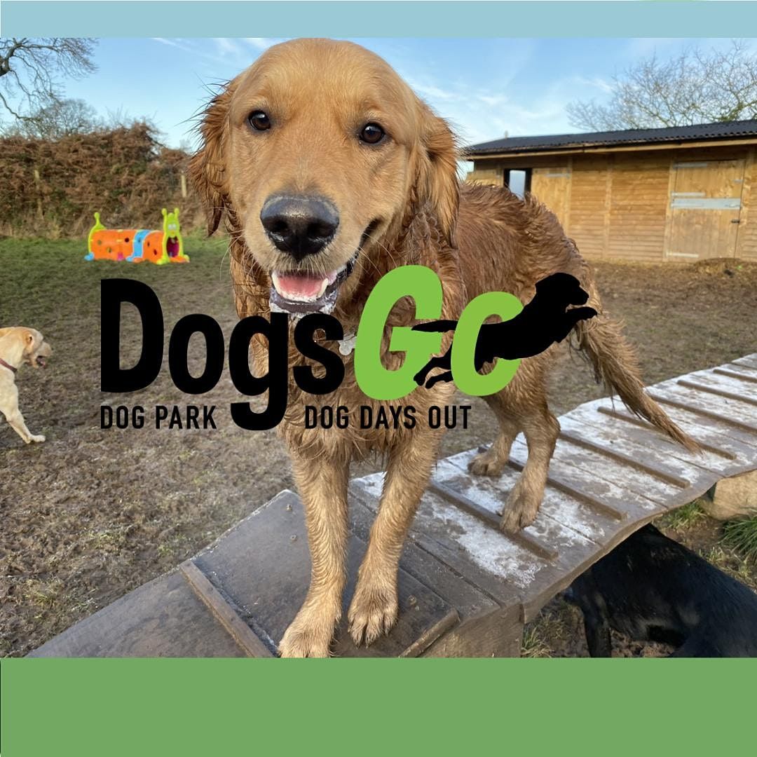 Pug Party Dogs Go Wirral June 12 To January 8 Allevents In Pug Events 2022