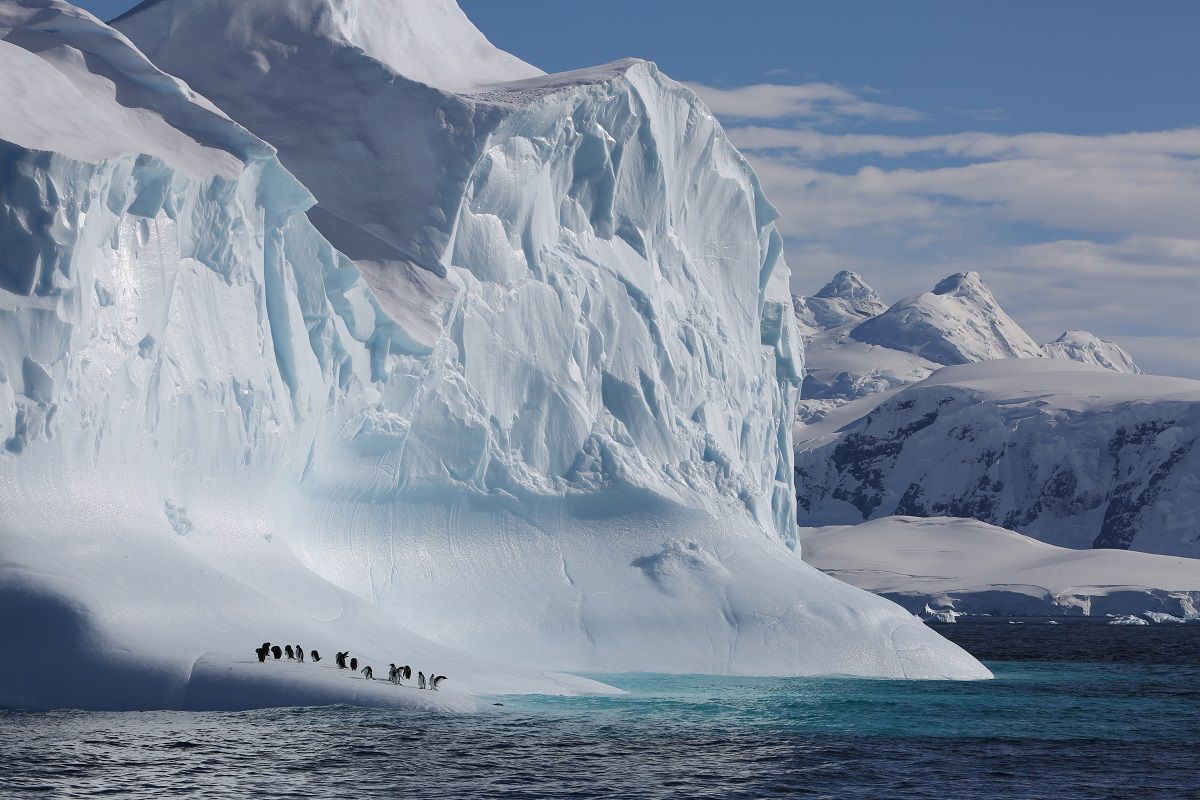 The Making of Our Planet: Frozen Worlds with Sophie Lanfear, 23 April | Event in Littleton | AllEvents