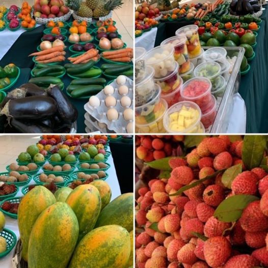 Artisans & Farmers Market at Town Center at Boca Raton, Town Center at