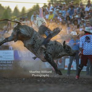 Brash Rodeo at Majestic Valley Arena