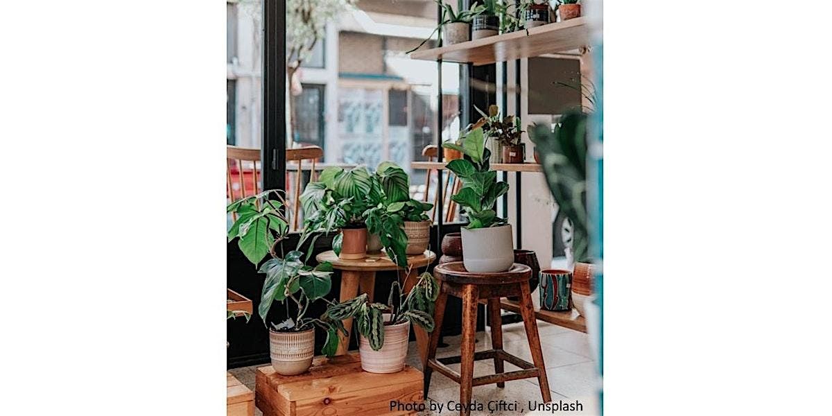 Frederick County Master Gardeners:  Houseplants and Wellness, 24 October | Event in FREDERICK | AllEvents