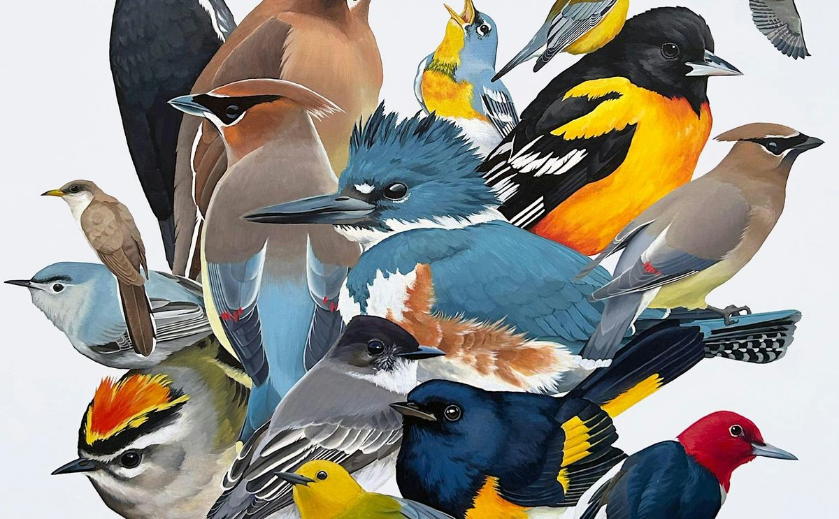 REMEMBER ME: MUSING ON BIRDS by Zia Daugherty, Positive Space Tulsa ...