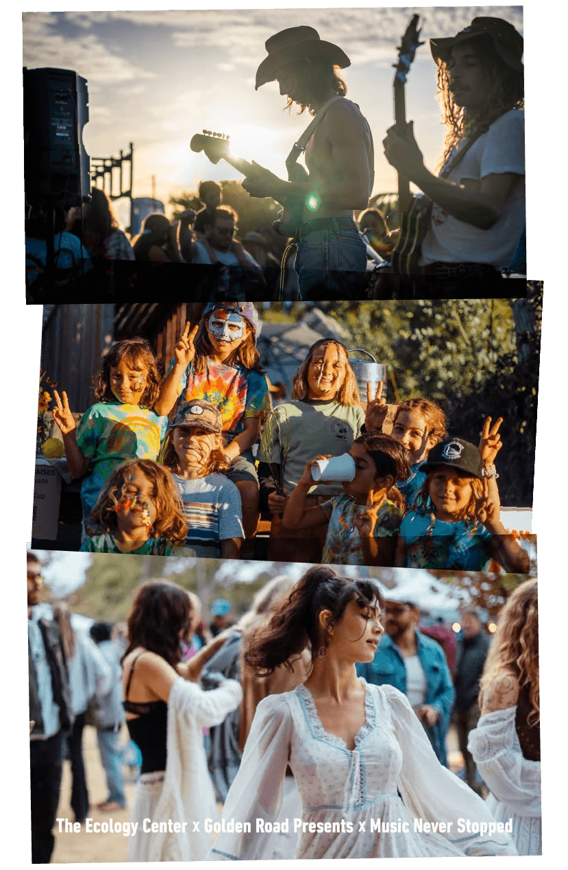 Grateful Shred at Capitol Theatre Port Chester, 31 October | Event in Port Chester | AllEvents