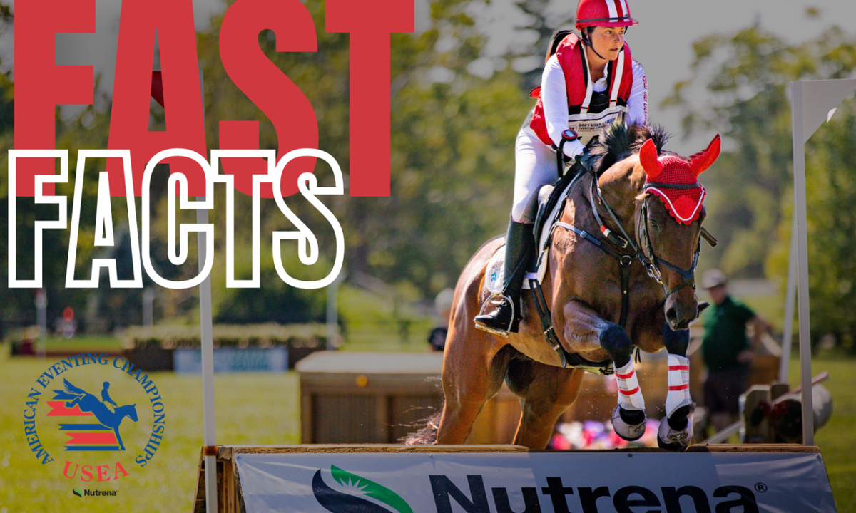 Canadian Show Jumping Championship Horseware at Coca-Cola Coliseum, 7 November | Event in Toronto | AllEvents
