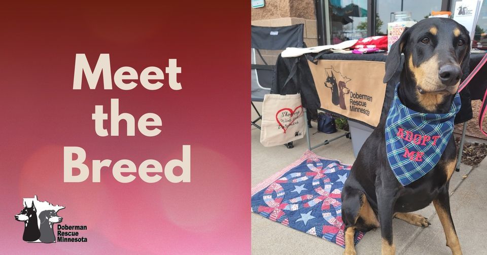 Meet the Breed, Chuck & Don's Pet Food & Supplies (Forest Lake