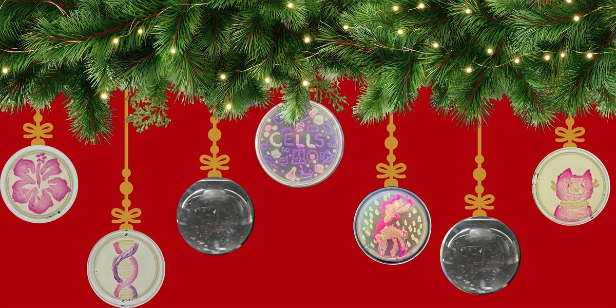 Make Holiday Ornaments: Agar & Micropipetting Art, 12 December | Event in Frederick | AllEvents