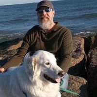 User profile photo