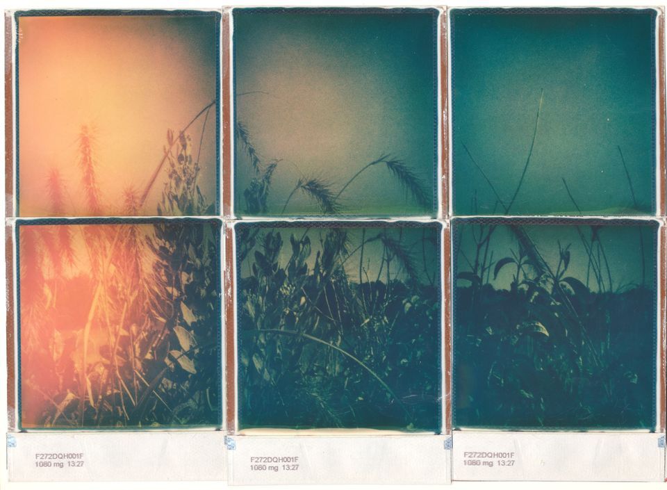 UNTOUCHED/UNPLOWED by Rachel Rector, Positive Space Tulsa, March 7 2024 ...