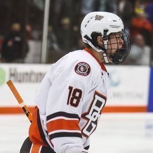 Bowling Green State Falcons at Ferris State Bulldogs Mens Hockey