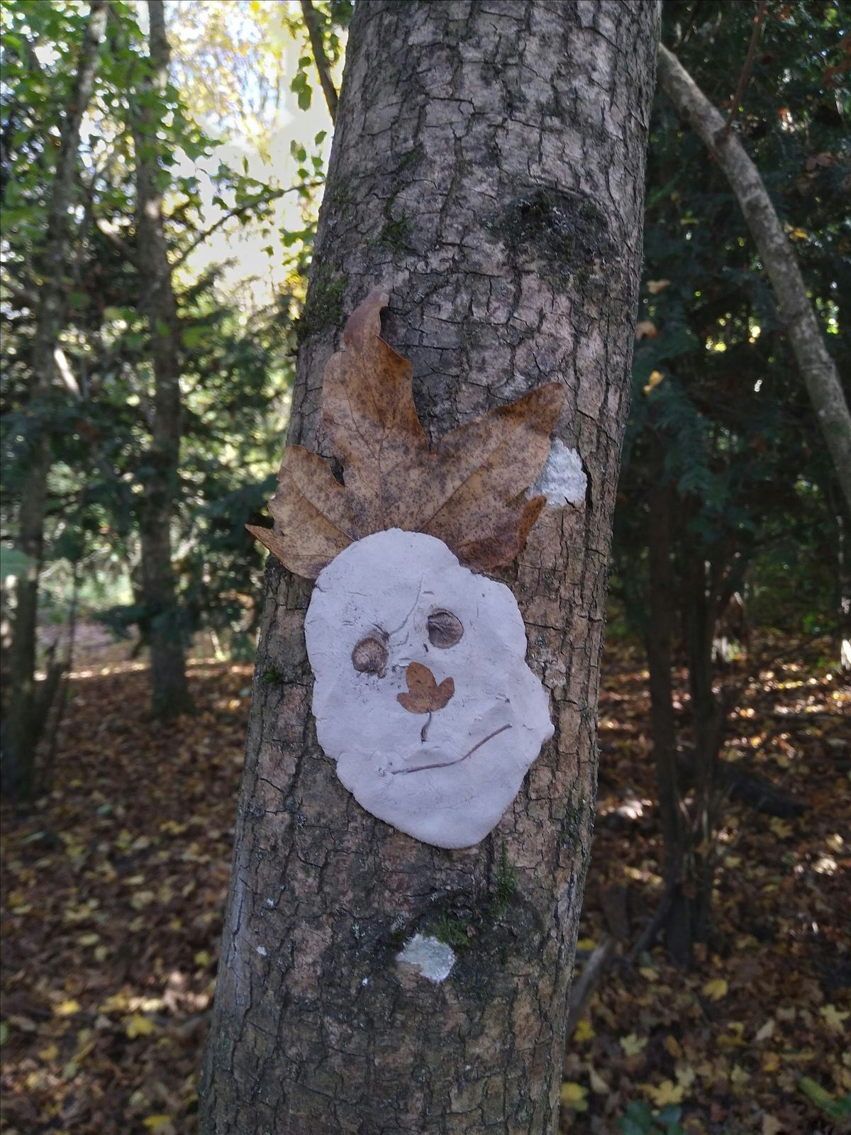 Testwood Lakes Nature Babies and Tots | Event in Southampton | AllEvents