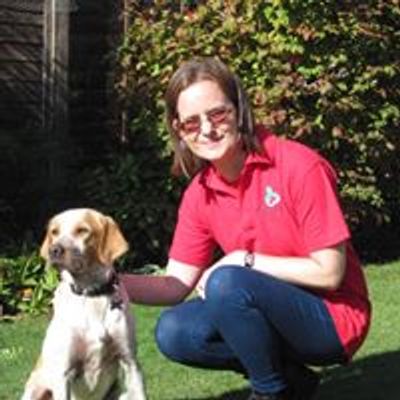 Dog First Aid - Sussex