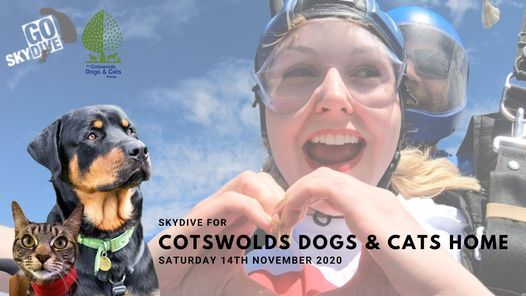 cotswold dogs and cats home