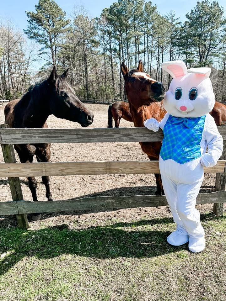 Easter Bunny Pictures With The Herd, 42060 Seabrook Lane Hollywood
