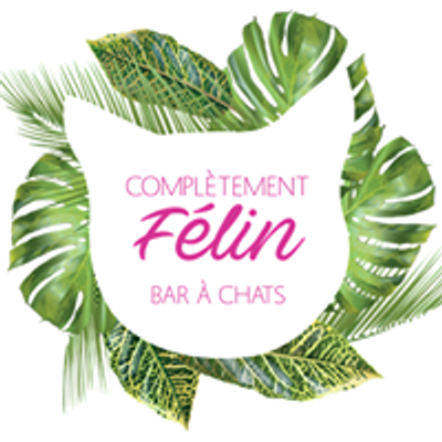 Complètement félin - Bar à chats La Louvière