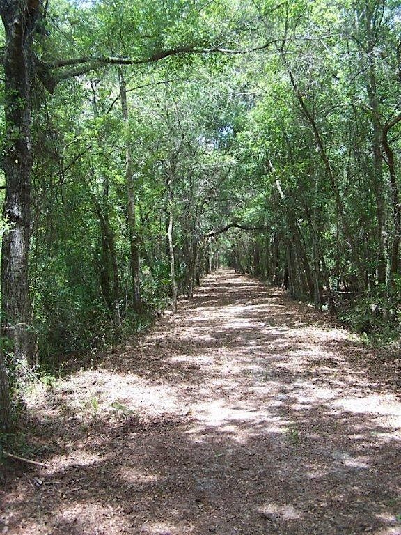 The Launch of Rosewood Commemorative Park