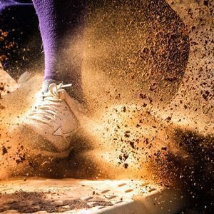 Army West Point Black Knights at South Carolina Gamecocks Baseball at Founders Park