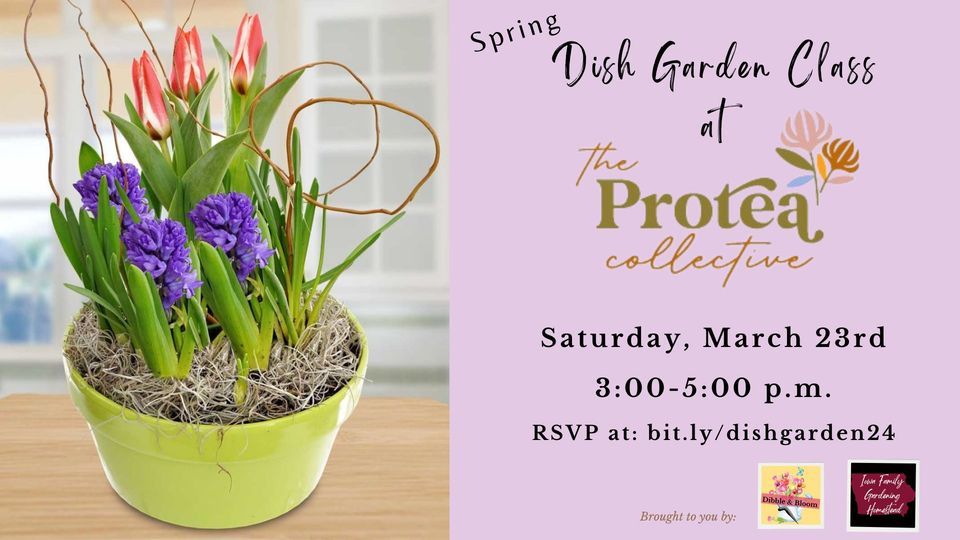 Spring Dish Garden at the Protea Collective, 1010 13th St N, Humboldt ...