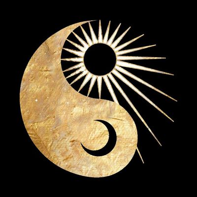 The Higher Love Society logo