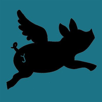 Flying Pig Cattle Co. logo