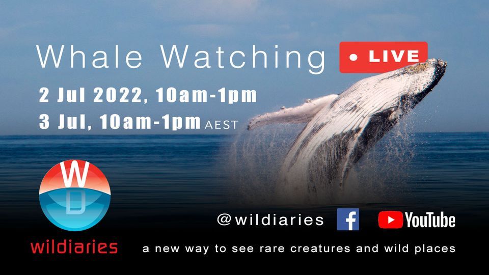 2nd July 22 Events In Online