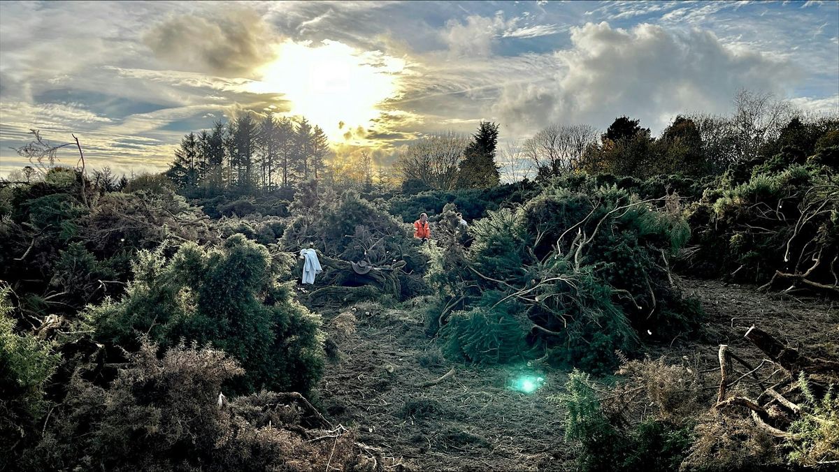 Save Our SSSI - Wetland Conservation at Scotstown Moor