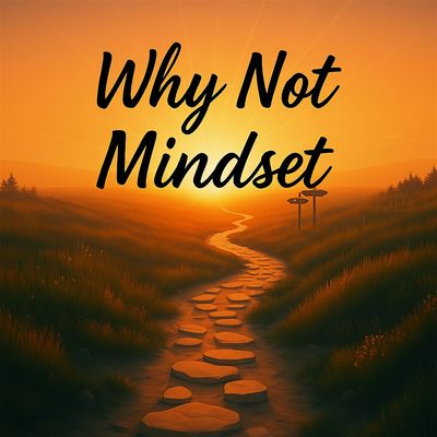 Why Not Mindset