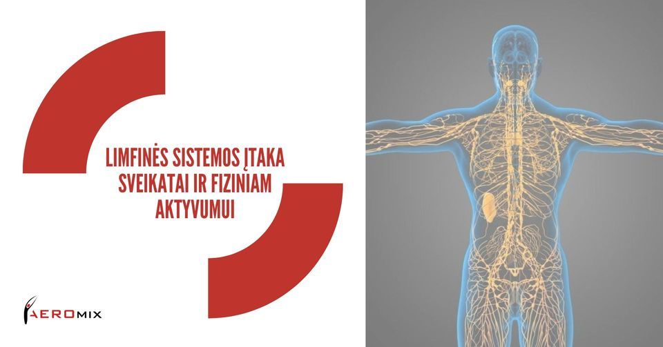 Limfinės sistemos įtaka sveikatai ir fiziniam aktyvumui, 30 April | Event in Vilnius | AllEvents.in