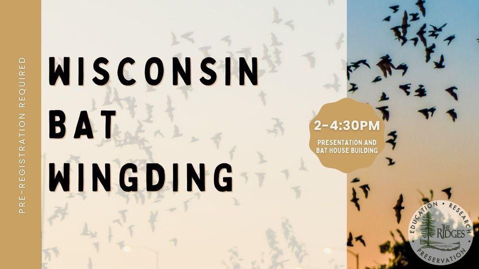 Wisconsin Bat Wingding, Cook-Albert Fuller Center, Egg Harbor, October ...