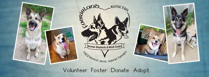 24th July 2021 Events In Shakopee Petsmart Events 2022